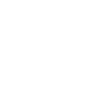 partners-1 (Demo)