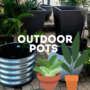 OUTDOOR POTS