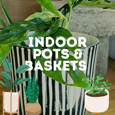 INDOOR POTS & BASKETS