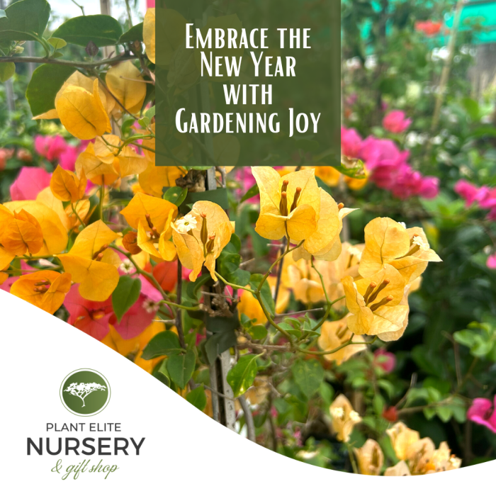 Embrace the New Year with Gardening Joy