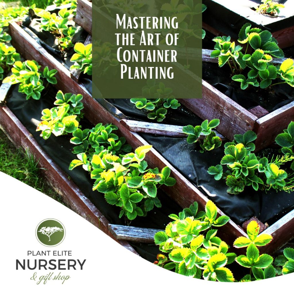 The Art of Container Gardening