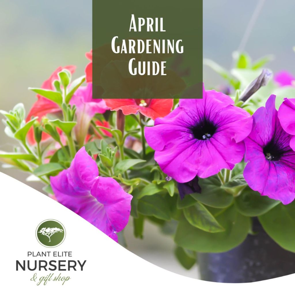 April Gardening Guide