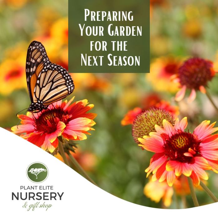 Preparing Your Garden for the Next Spring Season