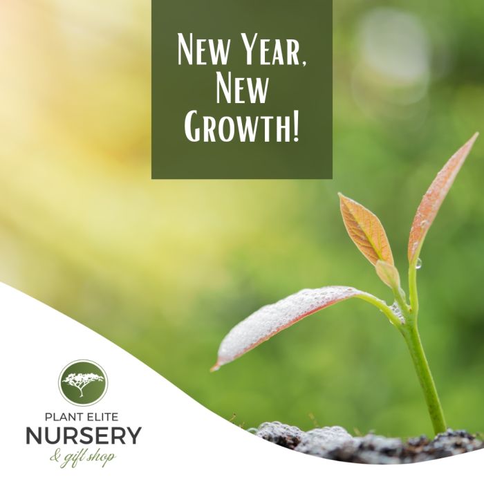 New Year, New Growth!